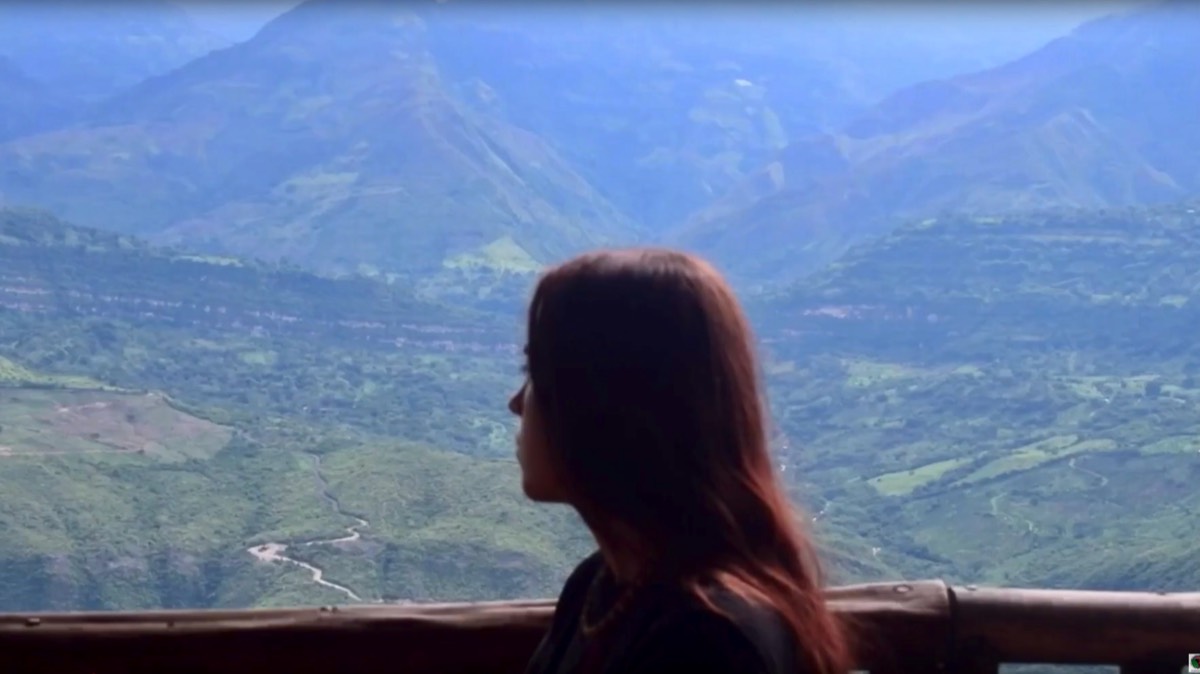 Stacks Image 3092374