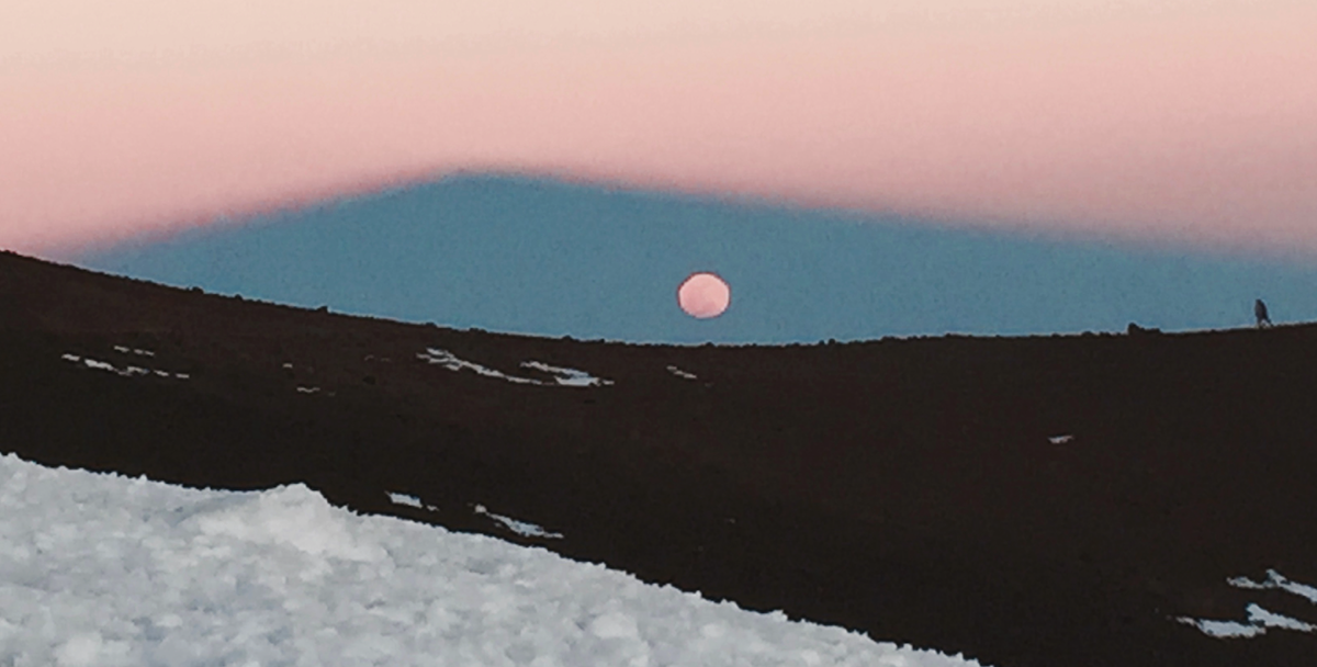 Stacks Image 3091626