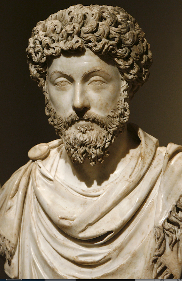 Stacks Image 3091688